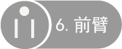 6 前臂